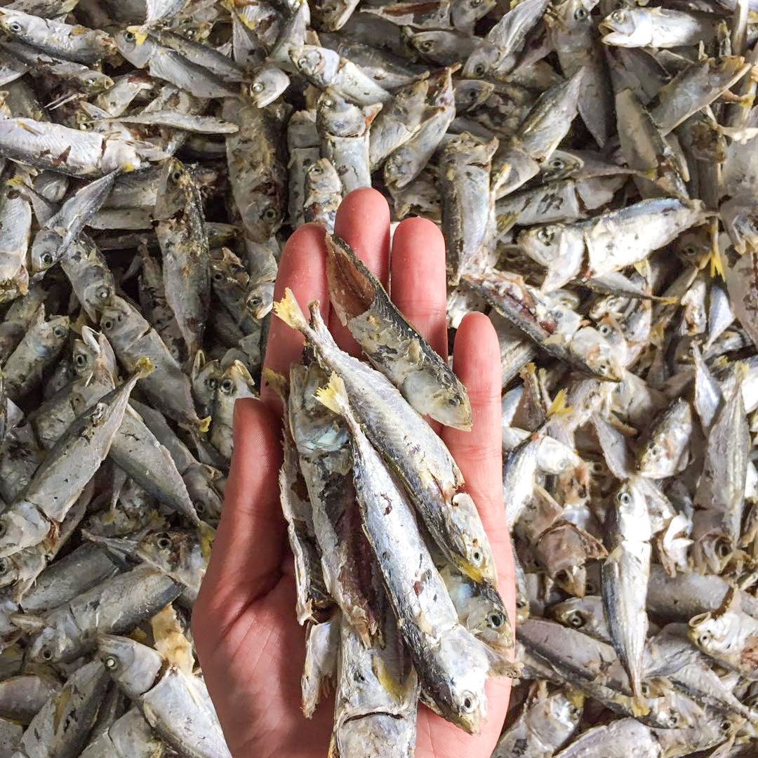 kembung kering on hand